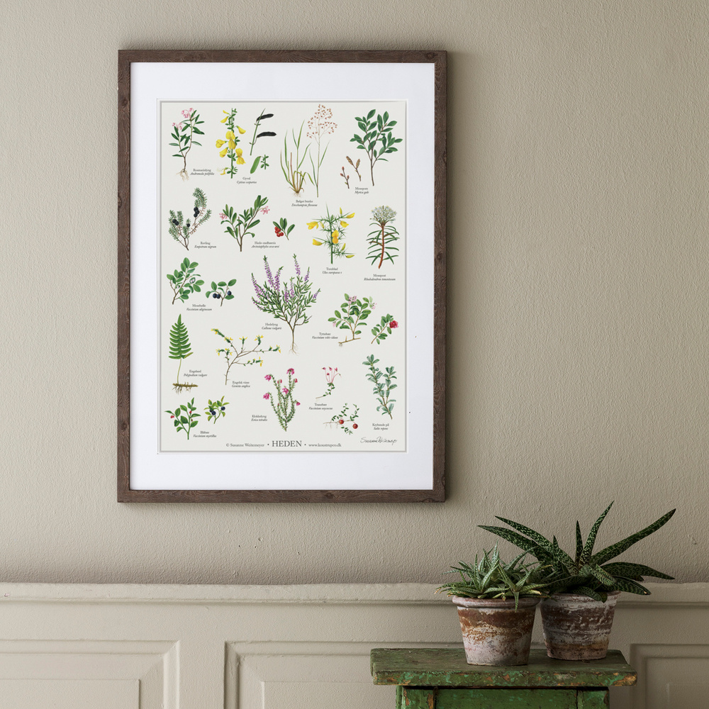 Koustrup poster - De heide, A4 - Afbeelding 3