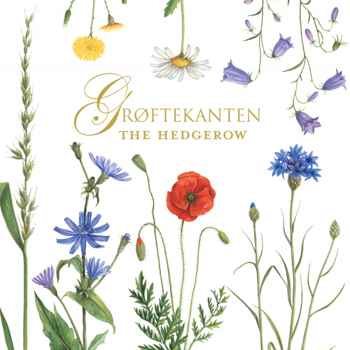 Koustrup & Co. Kartenmappe - Grabenkante
