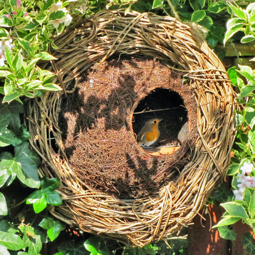 Wildlife World Vogelhauskranz aus Korbgeflecht