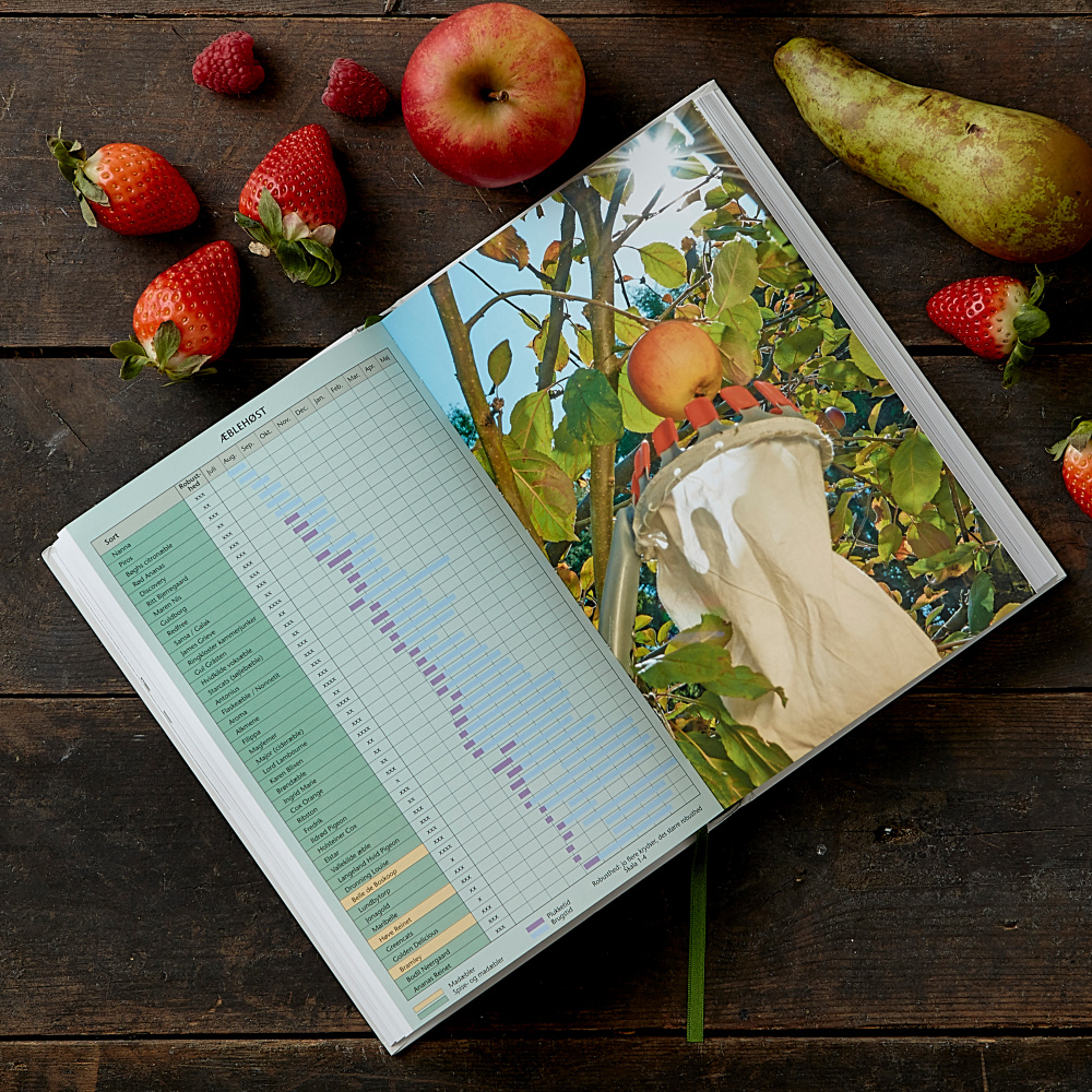 Bio-Obst im Garten - von Koustrup & Co. - Bild 4