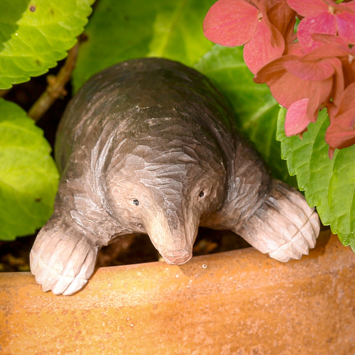 Wildlife Garden Tiere - Maulwurf