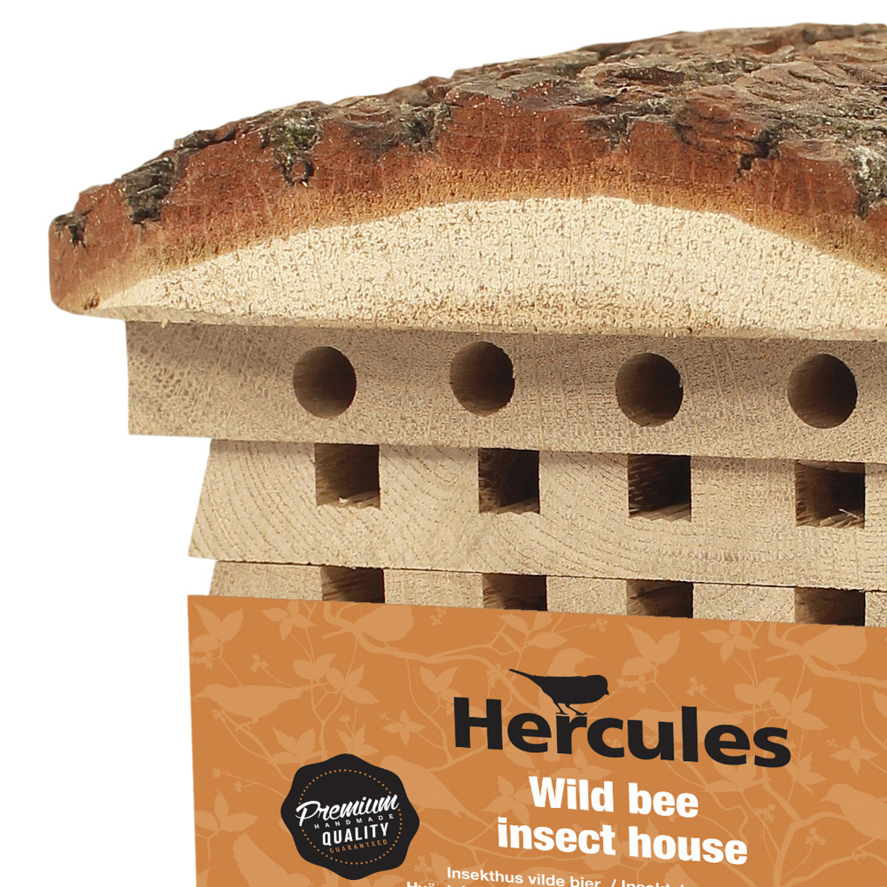 Hercules hôtel à insectes - Image 2