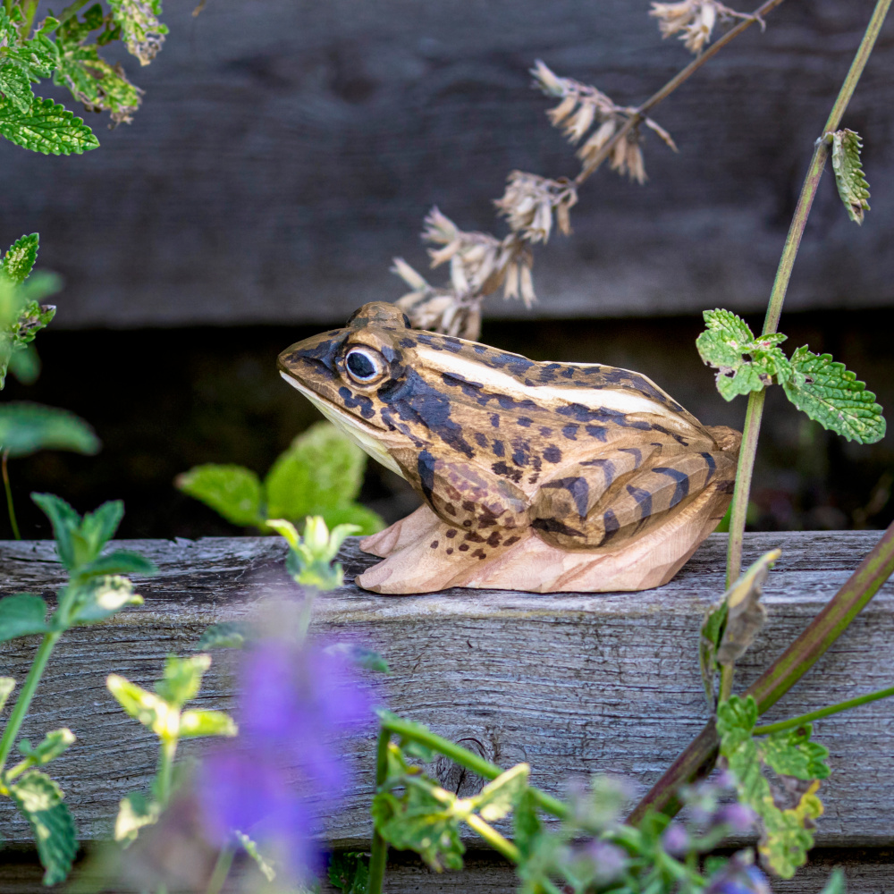 Wildlife Garden houten dier - heikikker - Afbeelding 3
