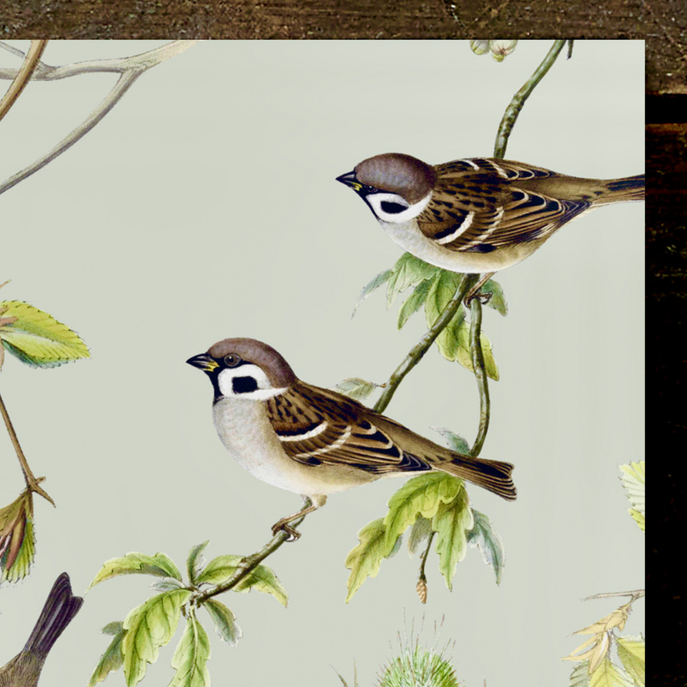 Koustrup & Co. notebook - birds - Image 3
