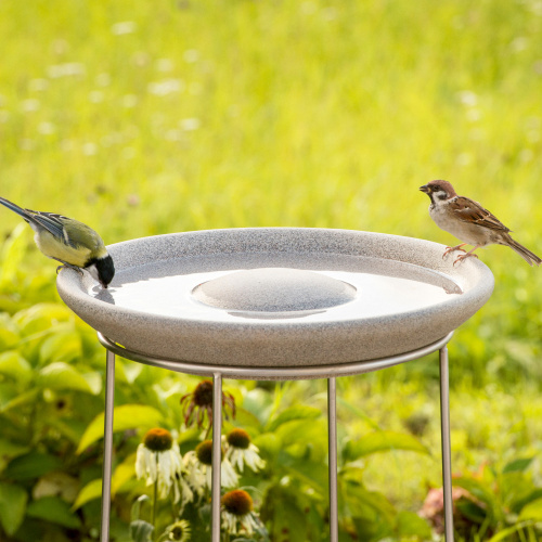 Denk vogelbad van graniet
