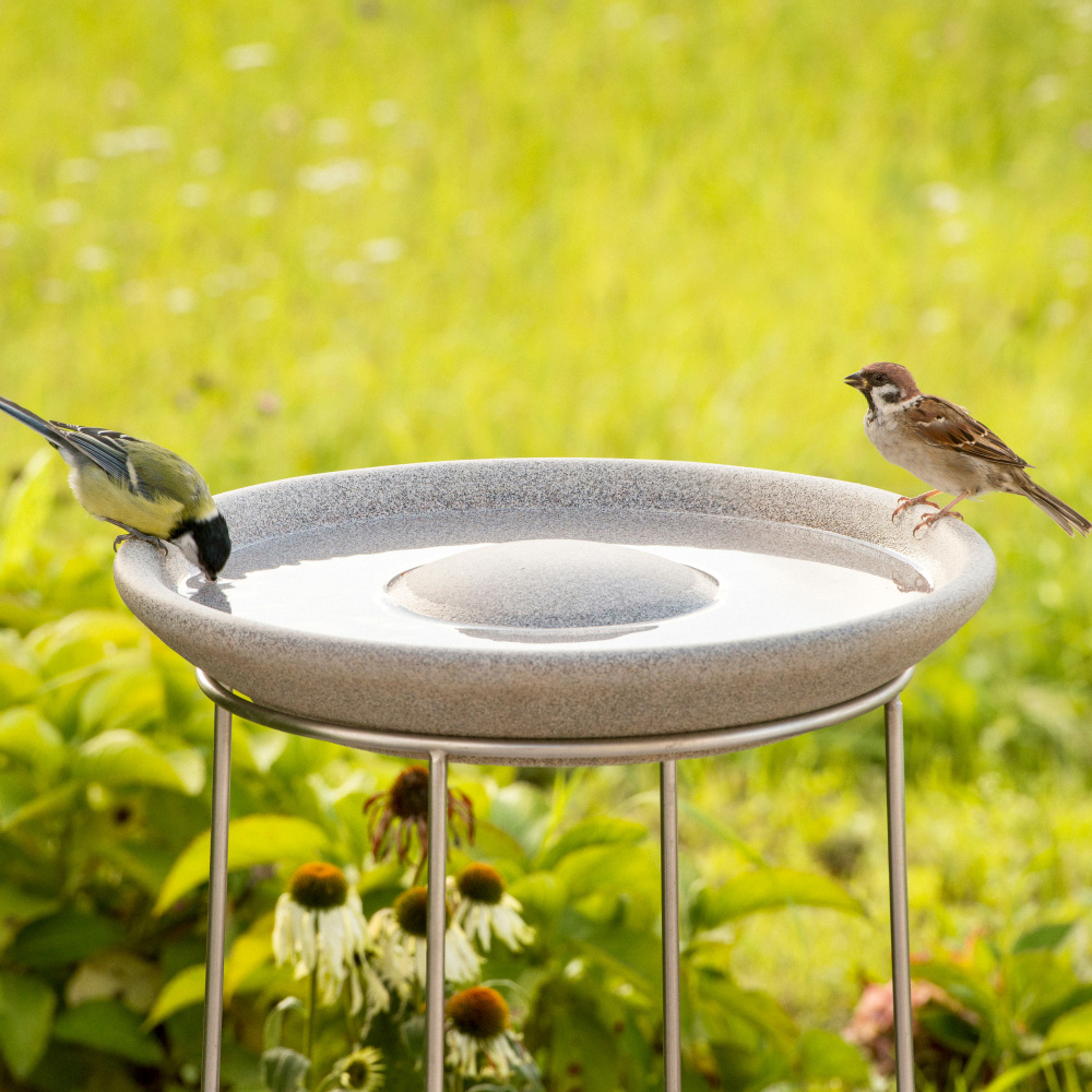 Denk bain d'oiseaux en granit