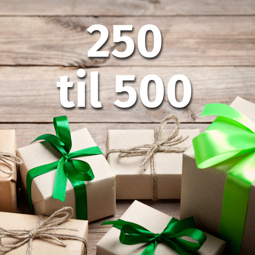 Geschenkideen DKK 250 bis 500.