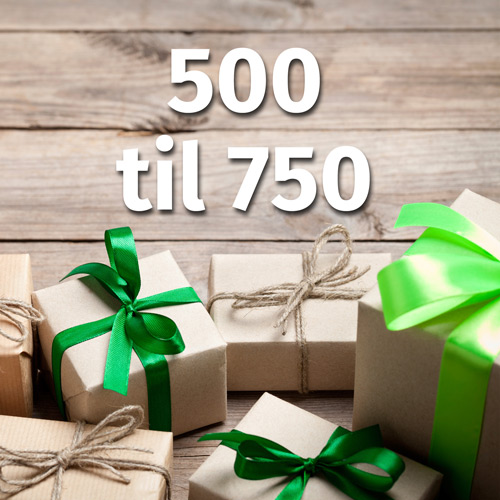 Geschenkideen DKK 500 bis DKK 750.