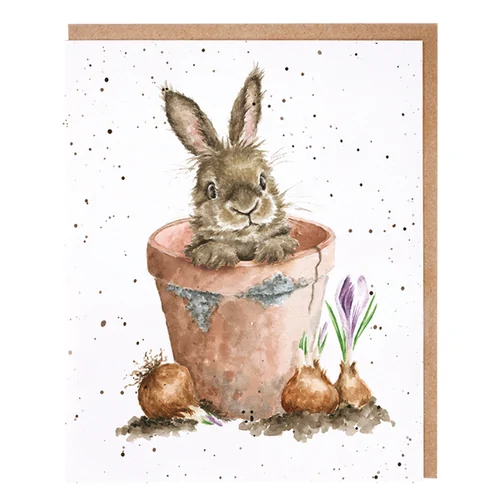 Wrendale Kartenset, 8 Stk. - Der Hase und der Blumentopf